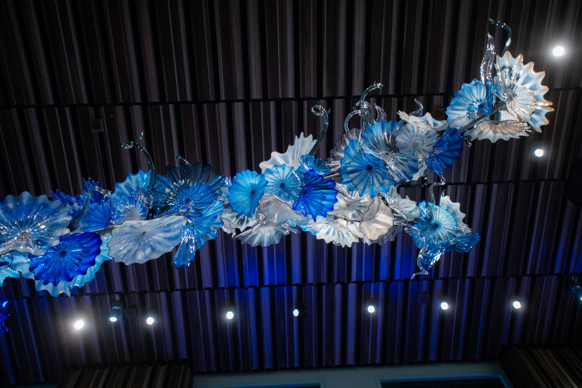 Glass sculpture made of individual glass parts in shades of blue and white that hands from the ceiling.